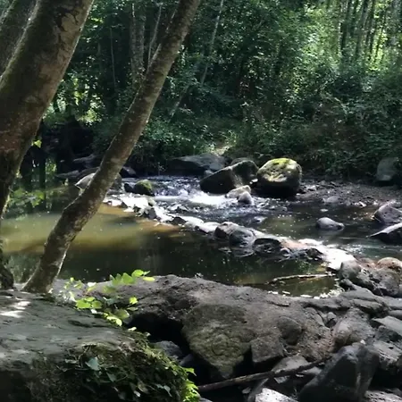 Et Confortable En Centre-ville