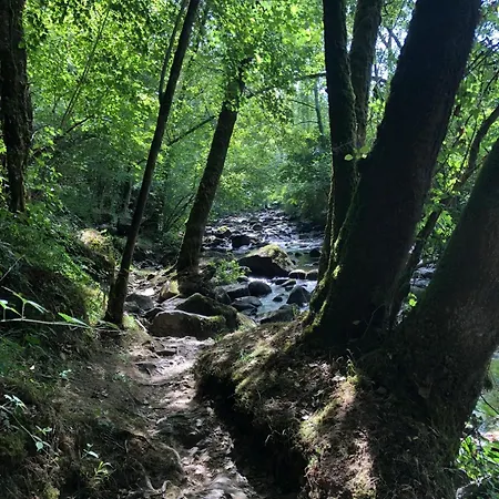 Et Confortable En Centre-ville 公寓 Condé-sur-Noireau