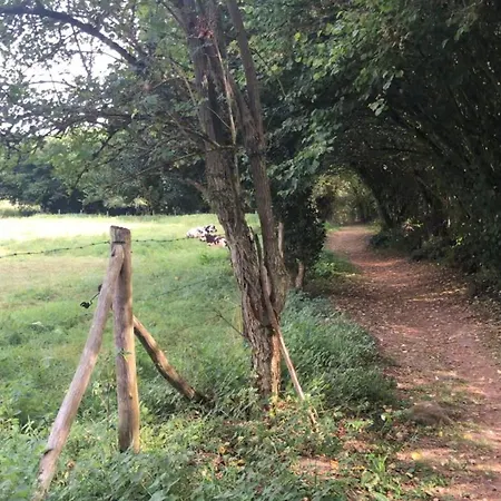 公寓 Et Confortable En Centre-ville *