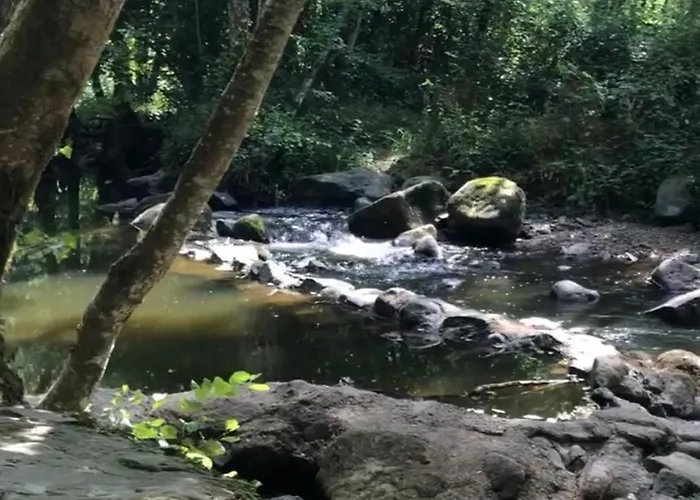 Et Confortable En Centre-ville