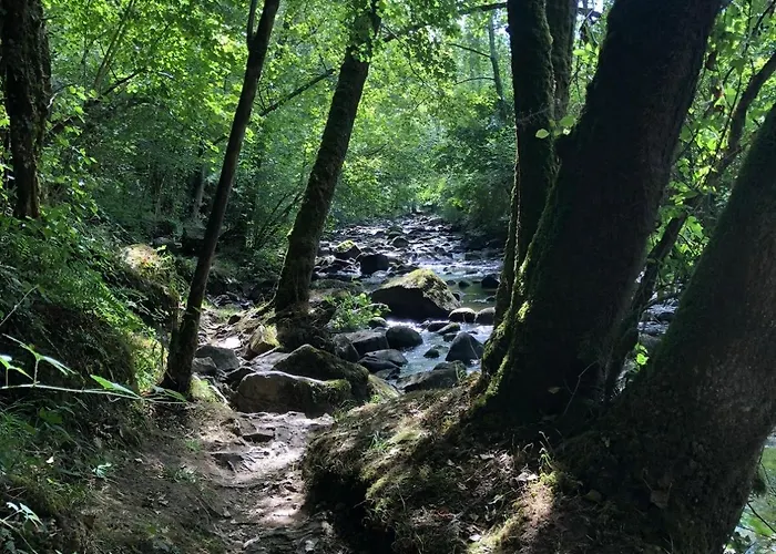Et Confortable En Centre-ville Apartment Condé-sur-Noireau