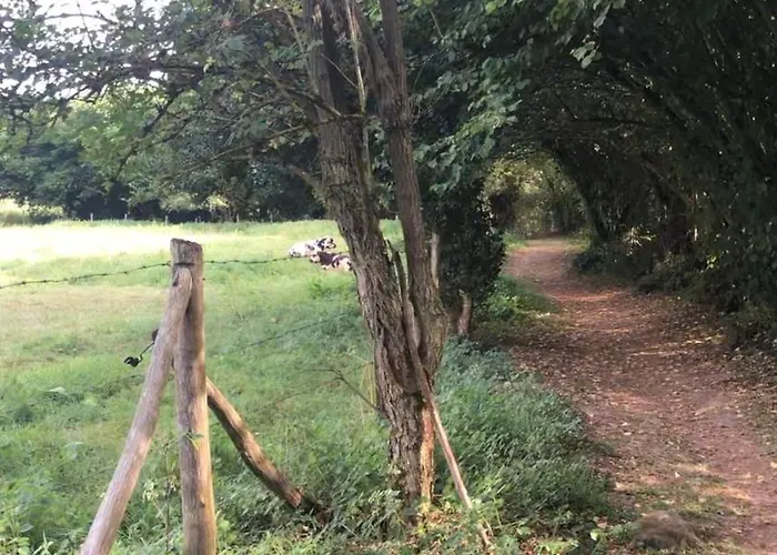 Apartment Et Confortable En Centre-ville *