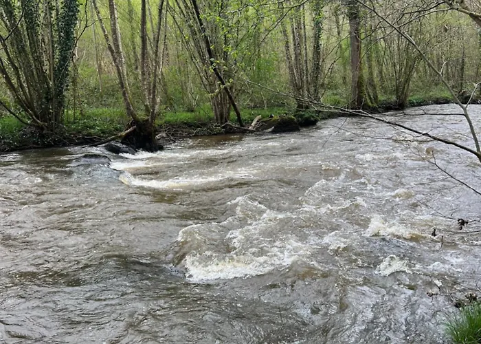 Et Confortable En Centre-ville
