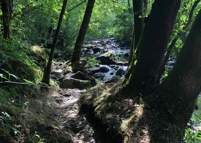 Et Confortable En Centre-ville Apartment *